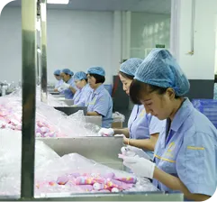 Newestpack Co., Ltd.